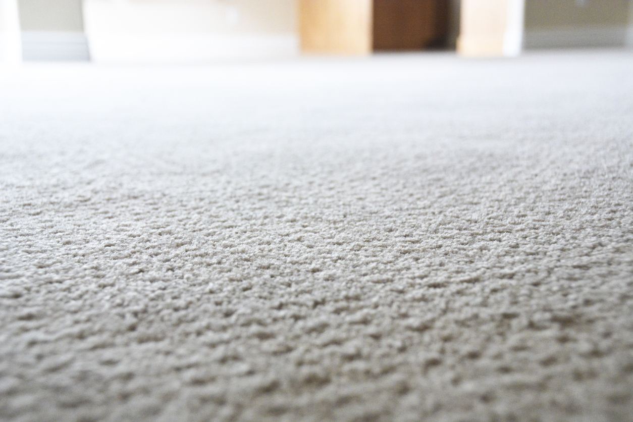 Professional carpet cleaning service