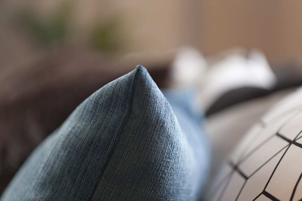 Professional upholstery cleaning service