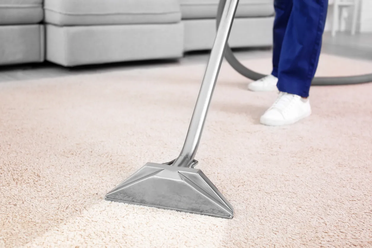 Clean, fresh carpet after professional cleaning