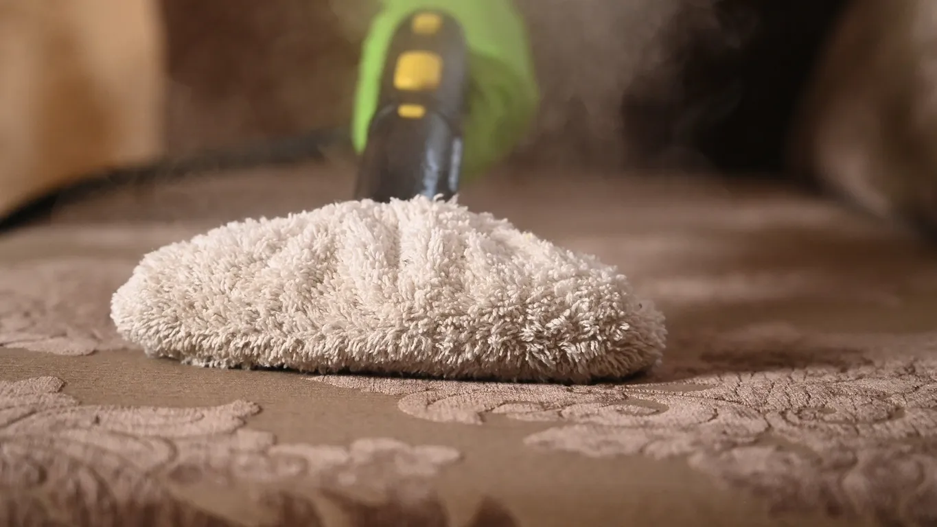 Professional rug cleaning process